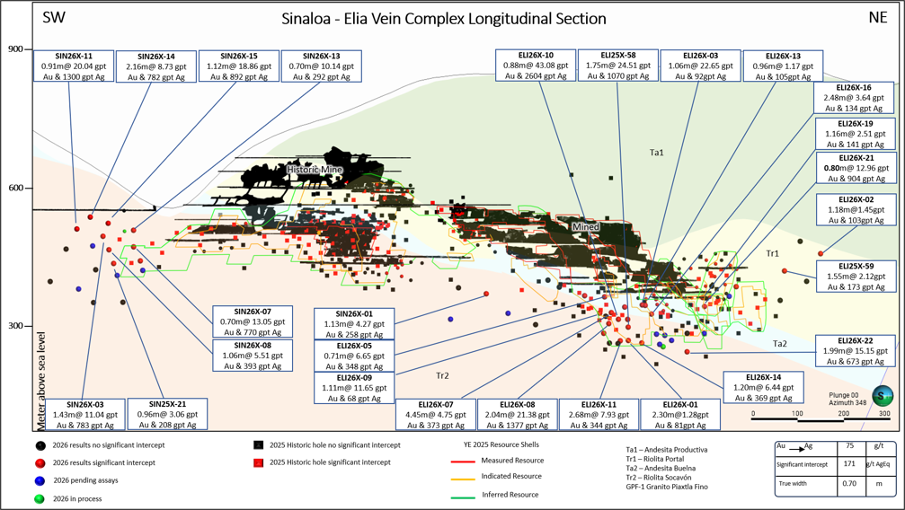 Figure 2: Sinaloa and Elia Veins, Vertical Long Section, Looking North